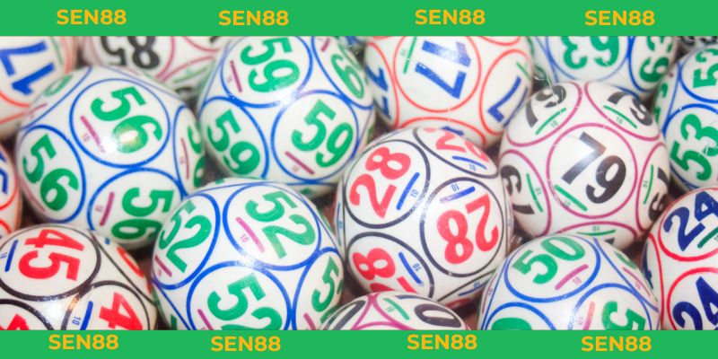 bạch thủ lô là gì