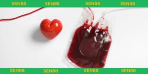 nằm mơ thấy máu đỏ đánh số gì cho cược thủ